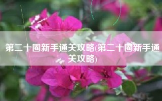 第二十圈新手通关攻略(第二十圈新手通关攻略)