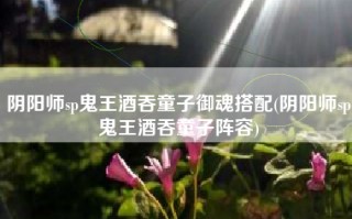 阴阳师sp鬼王酒吞童子御魂搭配(阴阳师sp鬼王酒吞童子阵容)