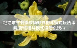 绝地求生刺激战场野性格斗模式玩法详解(野性格斗模式该怎么玩())
