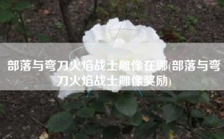 部落与弯刀火焰战士雕像在哪(部落与弯刀火焰战士雕像奖励)