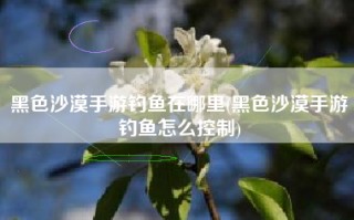 黑色沙漠手游钓鱼在哪里(黑色沙漠手游钓鱼怎么控制)