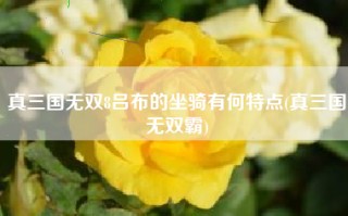 真三国无双8吕布的坐骑有何特点(真三国无双霸)