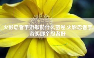 火影忍者手游歇配什么密卷,火影忍者手游买哪个忍者好