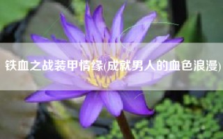 铁血之战装甲情缘(成就男人的血色浪漫)