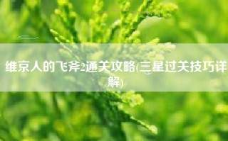 维京人的飞斧2通关攻略(三星过关技巧详解)