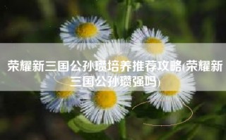 荣耀新三国公孙瓒培养推荐攻略(荣耀新三国公孙瓒强吗)