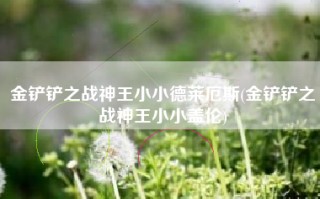 金铲铲之战神王小小德莱厄斯(金铲铲之战神王小小盖伦)