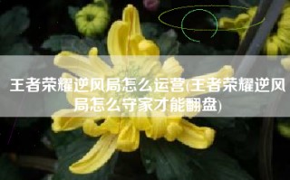 王者荣耀逆风局怎么运营(王者荣耀逆风局怎么守家才能翻盘)