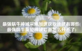 最强蜗牛神域采集加速获取途径有哪些(最强蜗牛英伦神域后面怎么开不了)