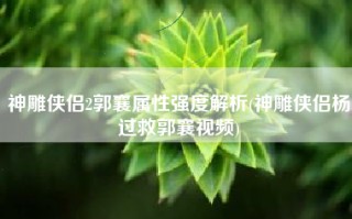 神雕侠侣2郭襄属性强度解析(神雕侠侣杨过救郭襄视频)