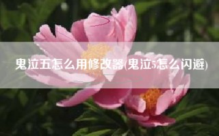 鬼泣五怎么用修改器(鬼泣5怎么闪避)