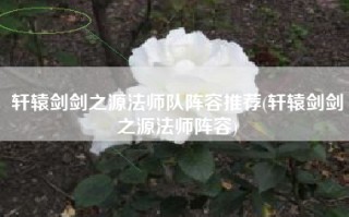 轩辕剑剑之源法师队阵容推荐(轩辕剑剑之源法师阵容)