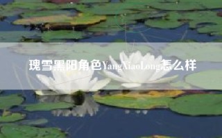 瑰雪黑阳角色YangXiaoLong怎么样