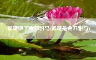 郭靖做了金刀驸马(郭靖是金刀驸马)