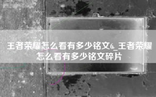 王者荣耀怎么看有多少铭文6_王者荣耀怎么看有多少铭文碎片