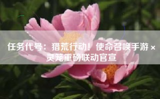 任务代号：猎荒行动！使命召唤手游×灵笼重磅联动官宣