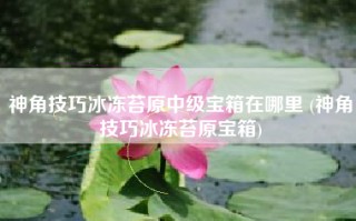 神角技巧冰冻苔原中级宝箱在哪里 (神角技巧冰冻苔原宝箱)