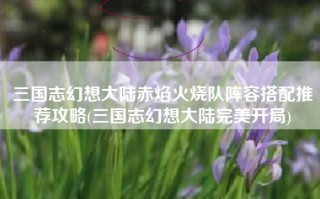 三国志幻想大陆赤焰火烧队阵容搭配推荐攻略(三国志幻想大陆完美开局)