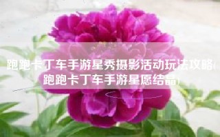 跑跑卡丁车手游星秀摄影活动玩法攻略(跑跑卡丁车手游星愿结晶)