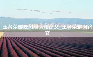 王者荣耀晚风服装和铭文_王者荣耀肉铭文