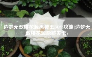造梦无双桃花源禺狨王BOSS攻略(造梦无双桃花源隐藏关卡)