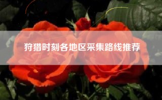 狩猎时刻各地区采集路线推荐