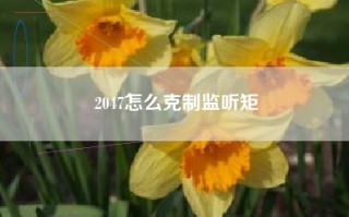 2047怎么克制监听矩