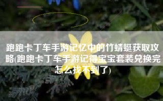 跑跑卡丁车手游记忆中的竹蜻蜓获取攻略(跑跑卡丁车手游记得宝宝套装兑换完怎么找不到了)