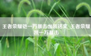 王者荣耀铠一万暴击出装铭文_王者荣耀凯一万暴击