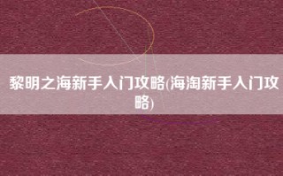 黎明之海新手入门攻略(海淘新手入门攻略)