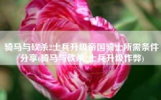 骑马与砍杀2士兵升级帝国骑士所需条件分享(骑马与砍杀2士兵升级作弊)