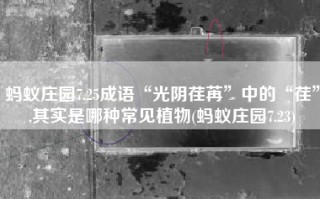 蚂蚁庄园7.25成语“光阴荏苒”中的“荏”,其实是哪种常见植物(蚂蚁庄园7.23)