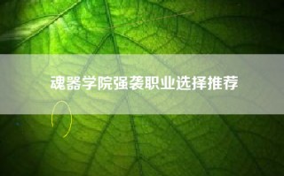 魂器学院强袭职业选择推荐