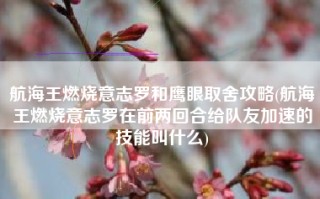航海王燃烧意志罗和鹰眼取舍攻略(航海王燃烧意志罗在前两回合给队友加速的技能叫什么)