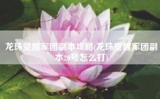 龙珠觉醒军团副本攻略(龙珠觉醒军团副本20号怎么打)