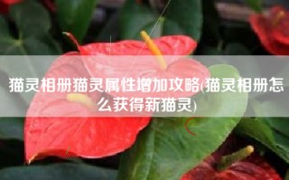 猫灵相册猫灵属性增加攻略(猫灵相册怎么获得新猫灵)