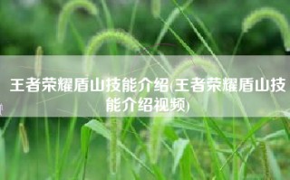 王者荣耀盾山技能介绍(王者荣耀盾山技能介绍视频)