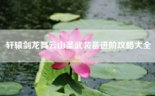 轩辕剑龙舞云山圣武装备进阶攻略大全