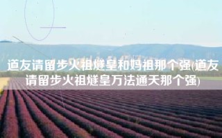 道友请留步火祖燧皇和妈祖那个强(道友请留步火祖燧皇万法通天那个强)