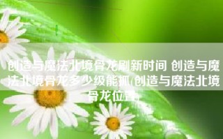 创造与魔法北境骨龙刷新时间 创造与魔法北境骨龙多少级能抓(创造与魔法北境骨龙位置)