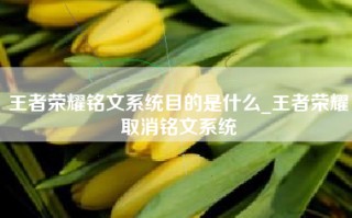 王者荣耀铭文系统目的是什么_王者荣耀取消铭文系统