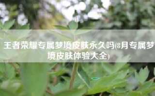 王者荣耀专属梦境皮肤永久吗(8月专属梦境皮肤体验大全)