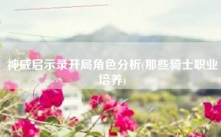 神威启示录开局角色分析(那些骑士职业培养)