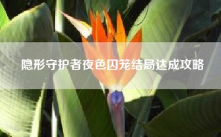 隐形守护者夜色囚笼结局达成攻略