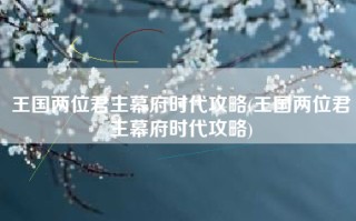 王国两位君主幕府时代攻略(王国两位君主幕府时代攻略)