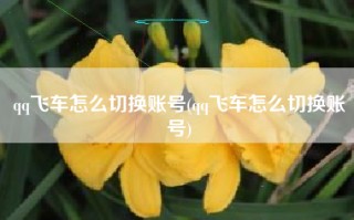qq飞车怎么切换账号(qq飞车怎么切换账号)