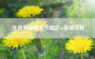 王者荣耀情人节指定cp英雄攻略
