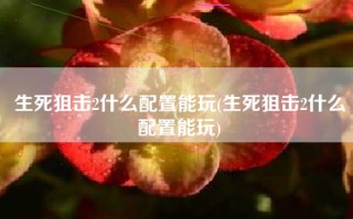 生死狙击2什么配置能玩(生死狙击2什么配置能玩)