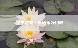浮生若梦亚斯塔蒂好用吗