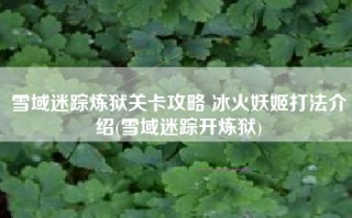 雪域迷踪炼狱关卡攻略 冰火妖姬打法介绍(雪域迷踪开炼狱)